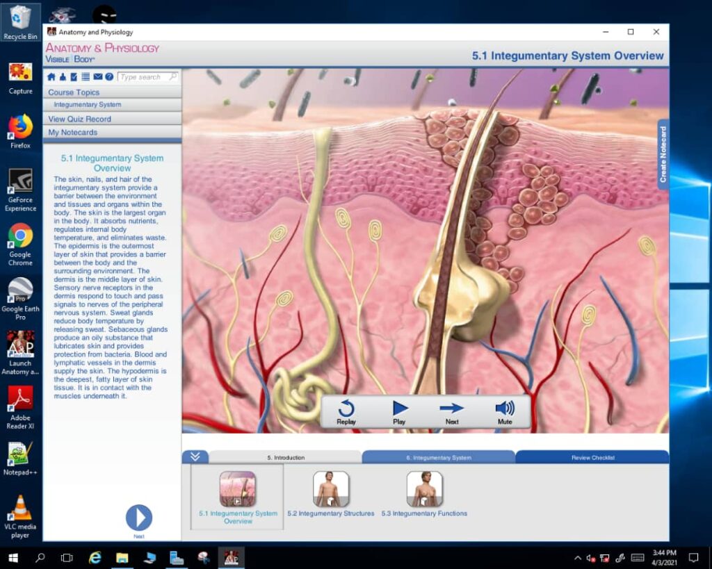 Offline anatomy and physiology learning software for students